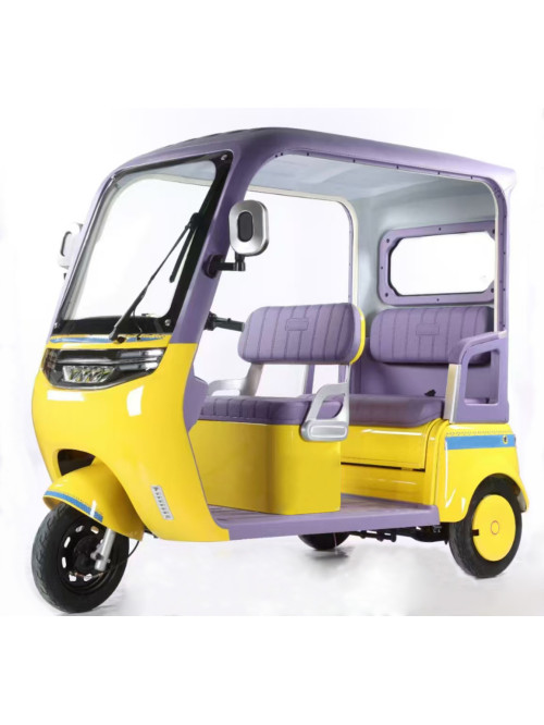  Leisure Electric Tricycle With Roof