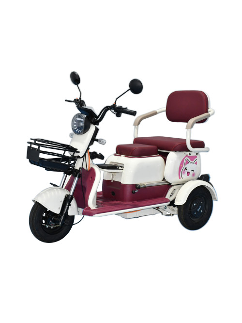 Three-Wheel Mobility Electric Tricycle