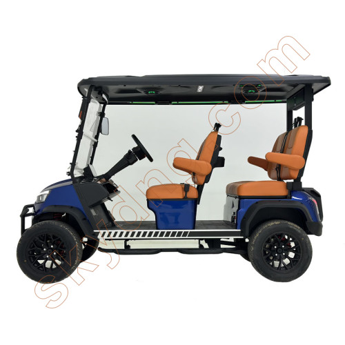 Four Seats Golf Cart