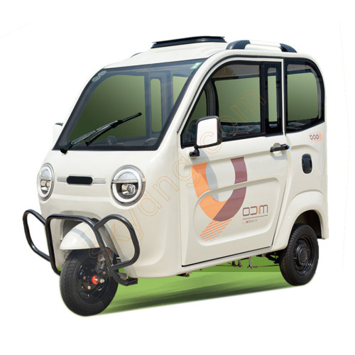 Cost-effective Rain Proof Enclosed Electric Passenger Tricycle