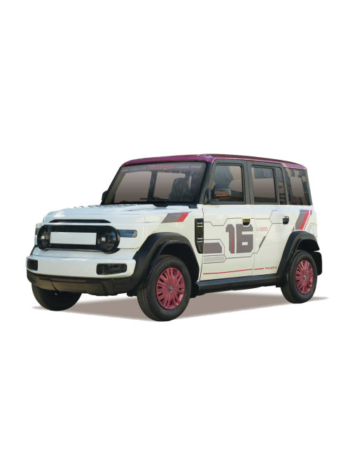 Four-wheel Electric Car SUV