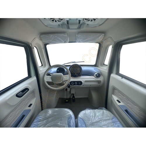 Stylish Two-Door Mini Car Electric Vehicle
