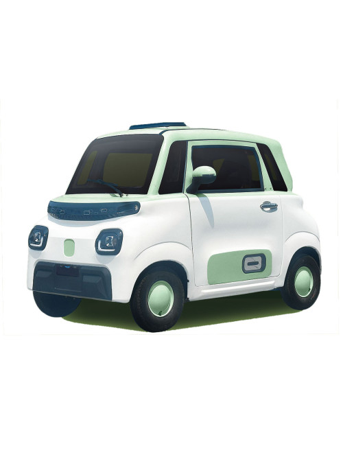 Stylish Two-Door Mini Car Electric Vehicle