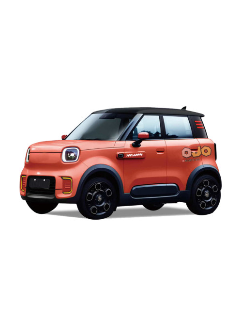Low Speed Electric Car  