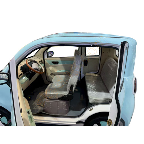Electric Car 1500W Four-wheel Two-door Four-seater 