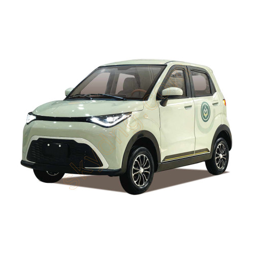 New Electric Car