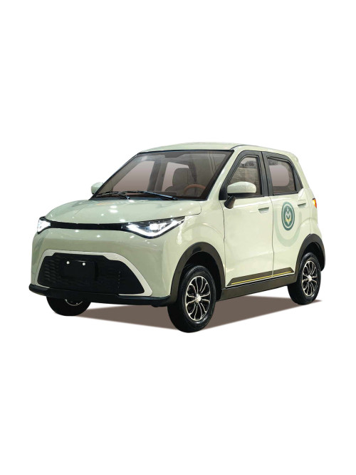 New Electric Car