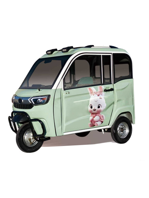 Rain Proof Enclosed Electric Passenger Tricycle Tw...